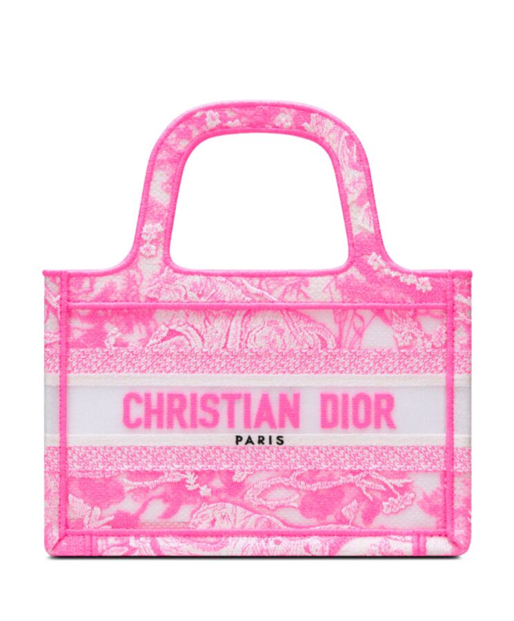 Dior Mini Dior Book Tote