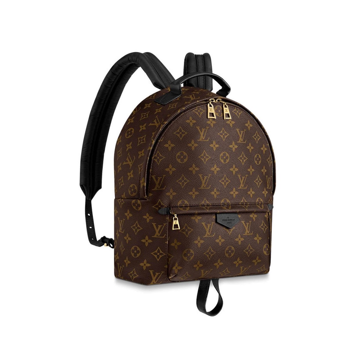 Louis Vuitton Monogram Canvas Palm Springs Backpack MM M41561